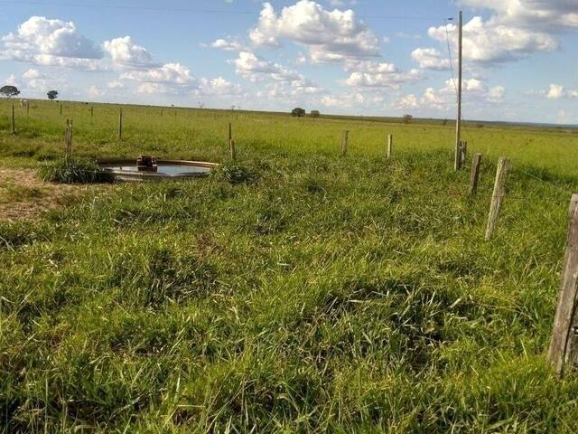 #1531 - Fazenda para Venda em Camapuã - MS - 2