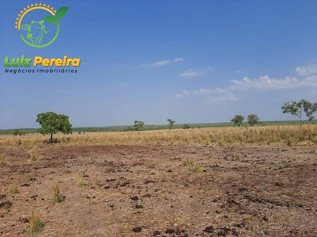 Fazenda para Venda em Dueré - 4
