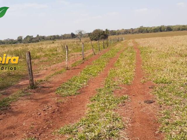 Fazenda para Venda em Guia Lopes da Laguna - 4