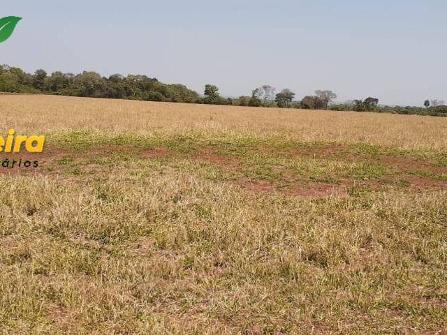 #1559 - Fazenda para Venda em Guia Lopes da Laguna - MS - 2