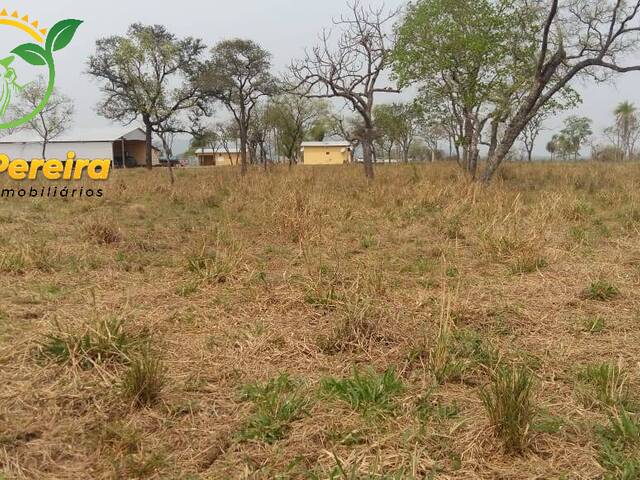 #1562 - Fazenda para Venda em Porto Murtinho - MS