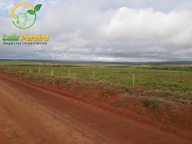 #1564 - Fazenda para Venda em Ribas do Rio Pardo - MS - 3