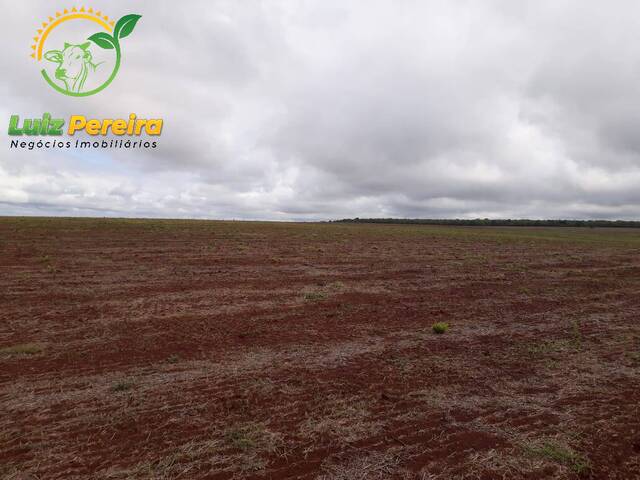 Fazenda para Venda em Ribas do Rio Pardo - 4