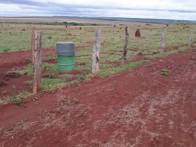 #1564 - Fazenda para Venda em Ribas do Rio Pardo - MS - 2