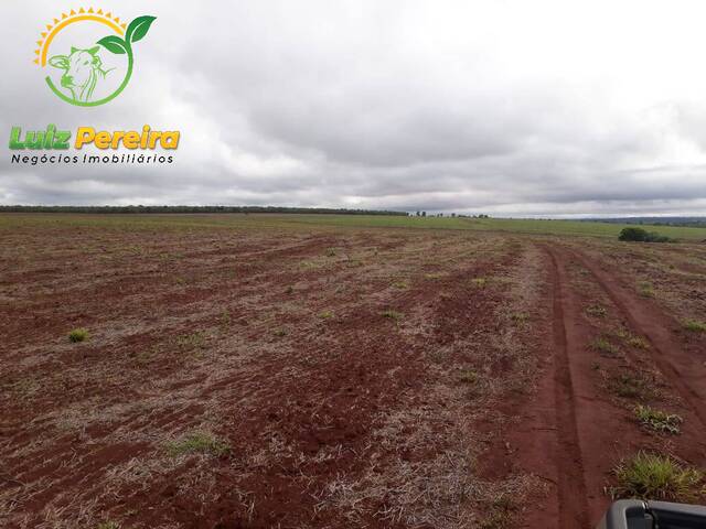 Fazenda para Venda em Ribas do Rio Pardo - 5
