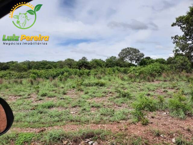 #1570 - Fazenda para Venda em Centenário - TO - 1