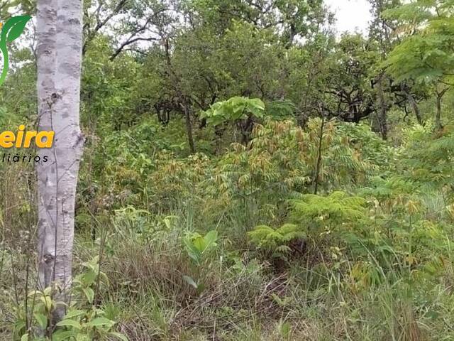 #1570 - Fazenda para Venda em Centenário - TO - 2