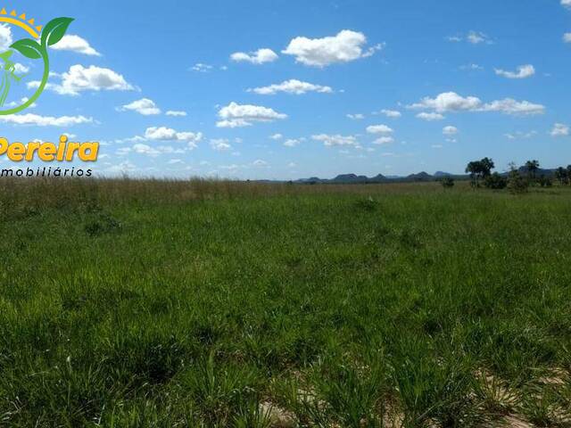 Fazenda para Venda em Recursolândia - 4