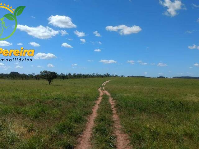 Fazenda para Venda em Recursolândia - 5