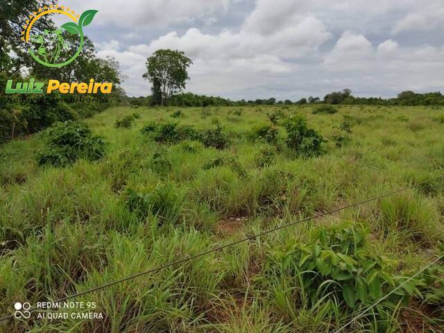 Fazenda para Venda em Formoso do Araguaia - 5