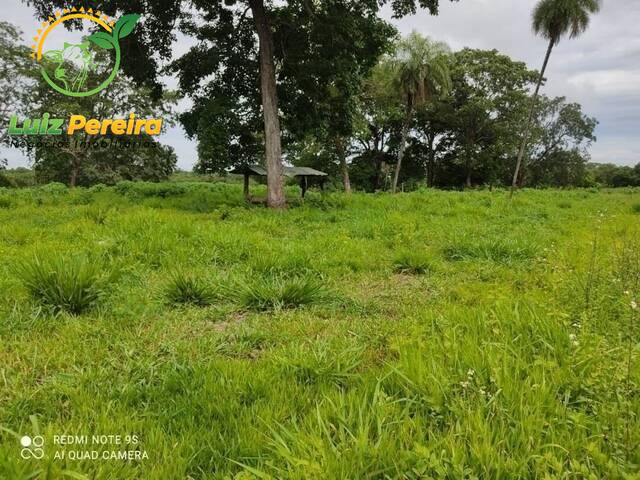 Fazenda para Venda em Formoso do Araguaia - 4