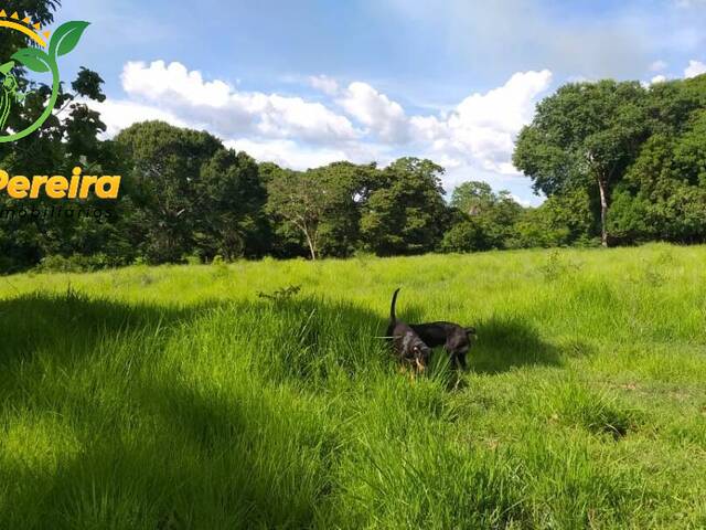 #1582 - Fazenda para Venda em Formoso do Araguaia - TO - 1