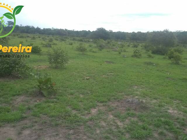 #1582 - Fazenda para Venda em Formoso do Araguaia - TO - 3