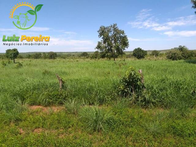 #1582 - Fazenda para Venda em Formoso do Araguaia - TO - 2