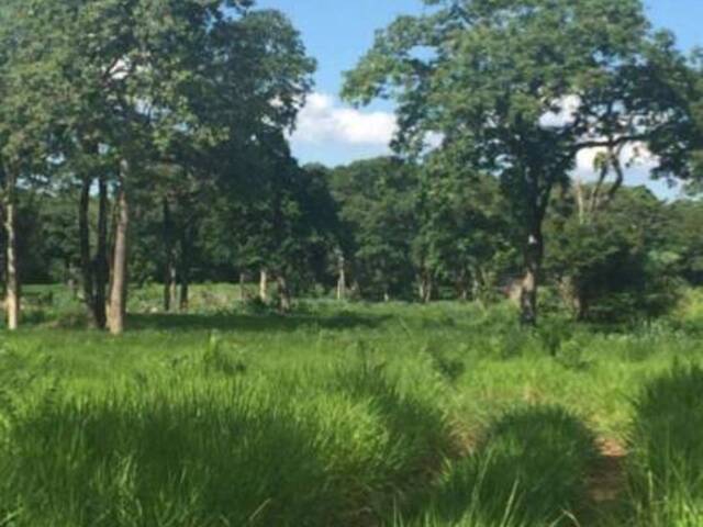 Fazenda para Venda em Recursolândia - 5