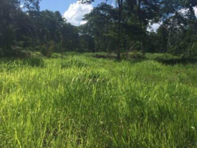 Fazenda para Venda em Recursolândia - 4