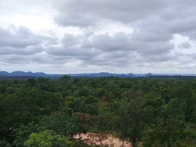 Fazenda para Venda em Recursolândia - 5