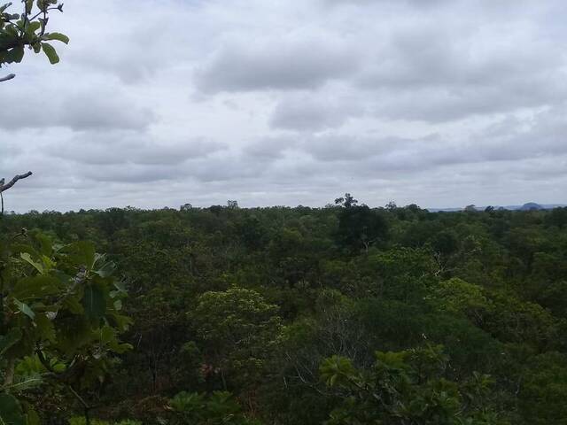 #1600 - Fazenda para Venda em Recursolândia - TO - 3