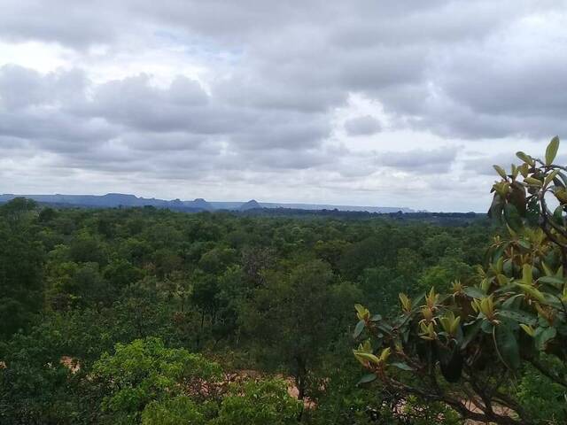 #1600 - Fazenda para Venda em Recursolândia - TO - 2