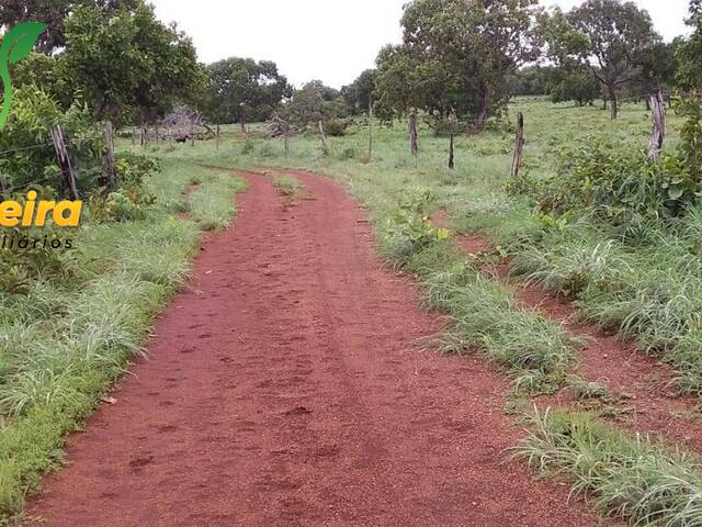 #1604 - Fazenda para Venda em Formoso do Araguaia - TO - 1