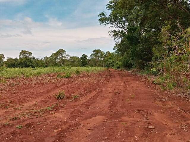 #1604 - Fazenda para Venda em Formoso do Araguaia - TO - 2