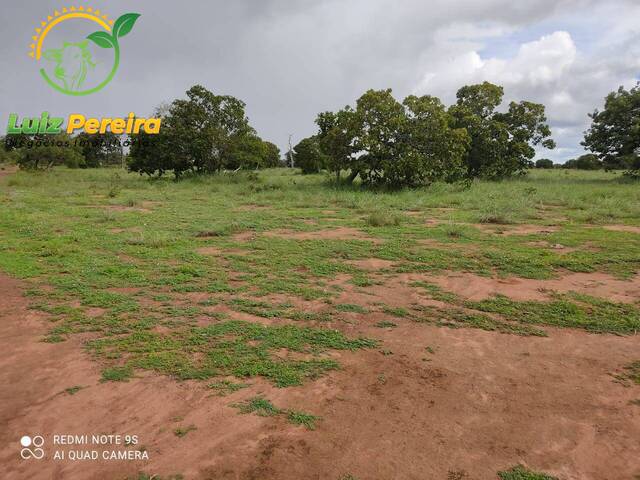Fazenda para Venda em Formoso do Araguaia - 4