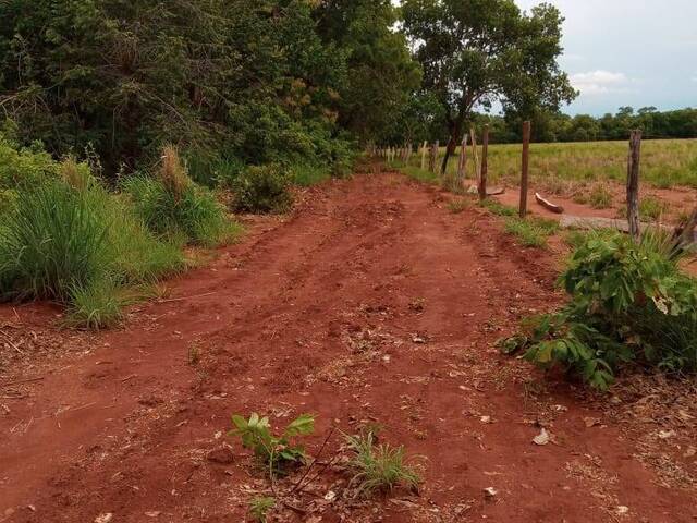 #1604 - Fazenda para Venda em Formoso do Araguaia - TO - 3