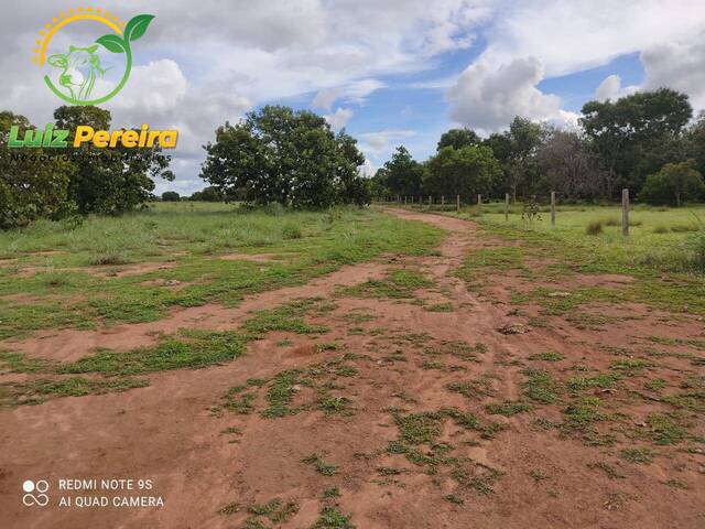 Fazenda para Venda em Formoso do Araguaia - 5