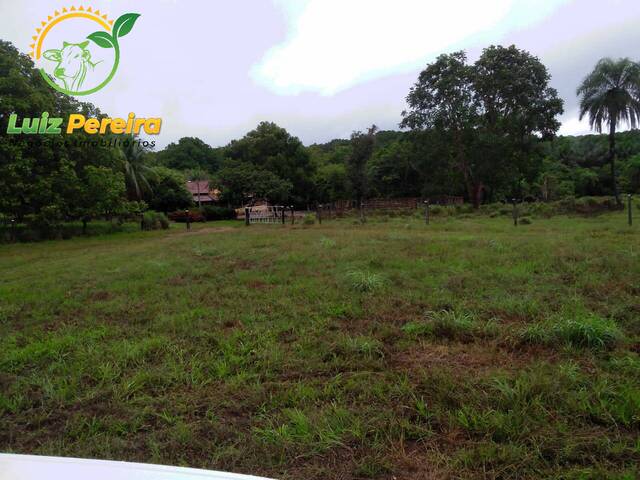 #1618 - Fazenda para Venda em Formoso do Araguaia - TO - 1