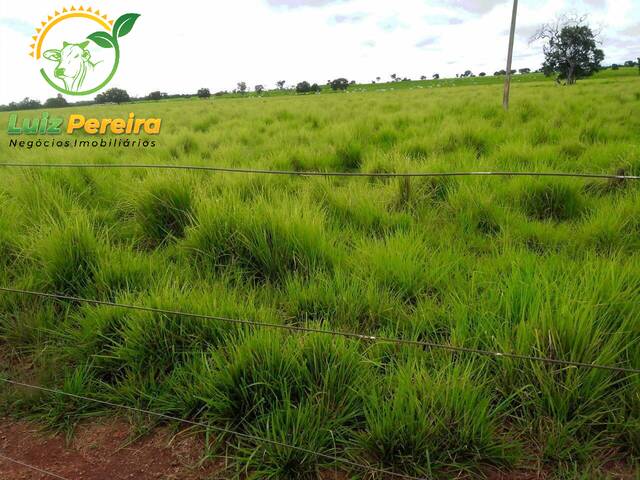 #1618 - Fazenda para Venda em Formoso do Araguaia - TO - 3