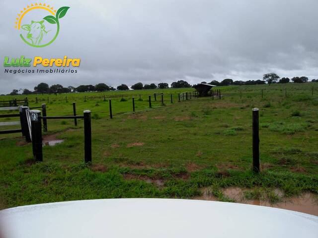 Fazenda para Venda em Formoso do Araguaia - 4