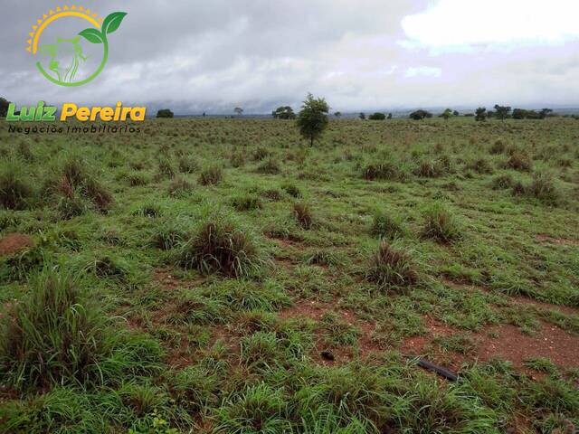 Fazenda para Venda em Formoso do Araguaia - 5