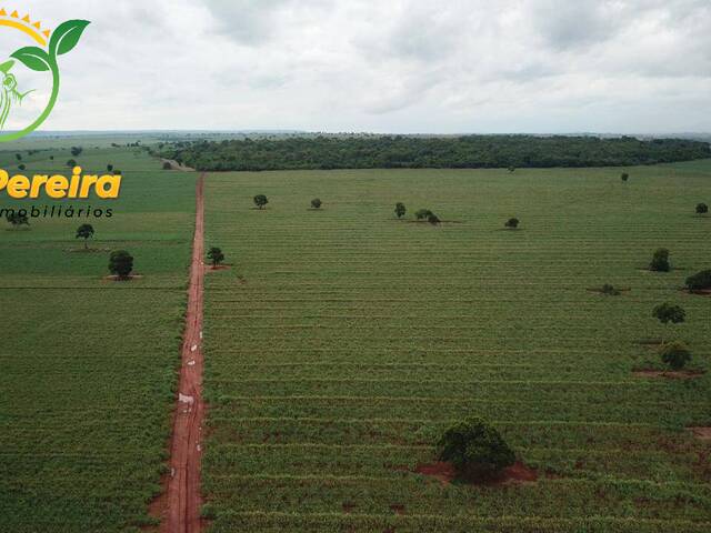 #1624 - Fazenda para Venda em Quirinópolis - GO - 3