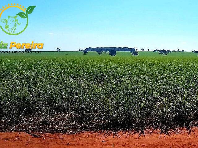 Fazenda para Venda em Quirinópolis - 4