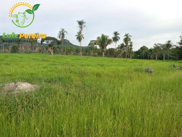 Fazenda para Venda em Recursolândia - 5