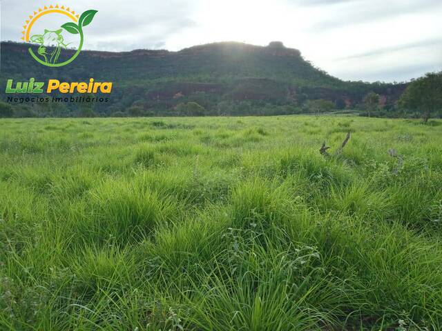 Fazenda para Venda em Recursolândia - 4
