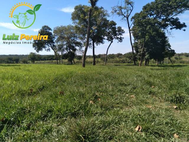 #1631 - Fazenda para Venda em Nioaque - MS - 3