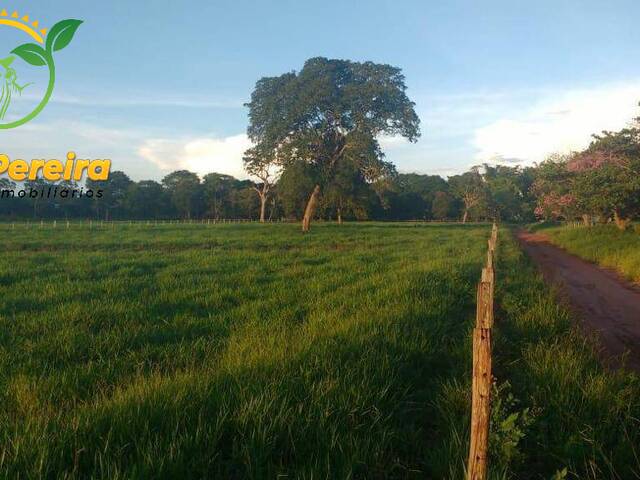 Fazenda para Venda em Terenos - 5