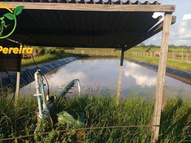 #1632 - Fazenda para Venda em Terenos - MS - 3