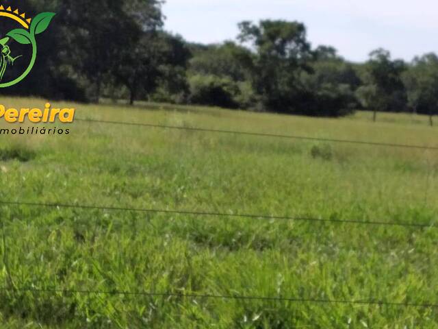 Fazenda para Venda em Porto Murtinho - 5