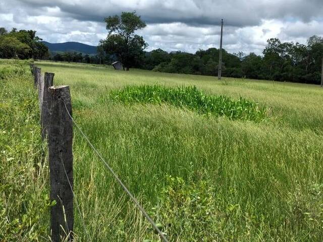 #1635 - Fazenda para Venda em Porto Murtinho - MS - 2