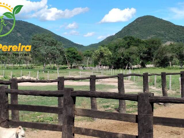 #1635 - Fazenda para Venda em Porto Murtinho - MS - 1