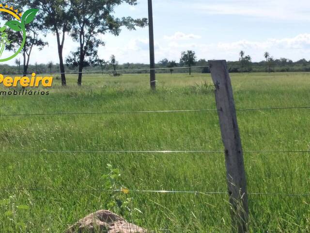 Fazenda para Venda em Porto Murtinho - 4