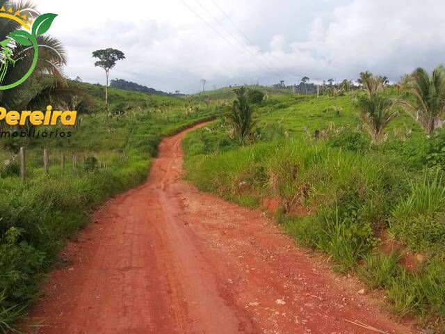 #1636 - Fazenda para Venda em Pacajá - PA