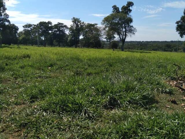 #1639 - Fazenda para Venda em Portel - PA