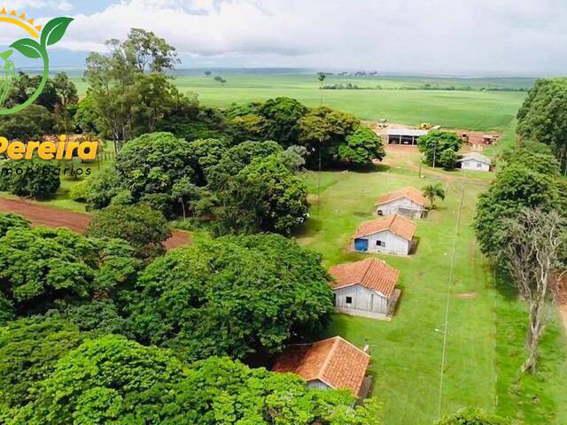 #1643 - Fazenda para Venda em Naviraí - MS - 1