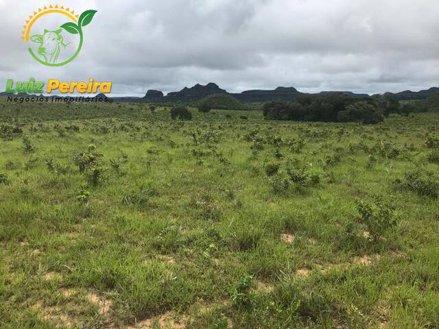 #1648 - Fazenda para Venda em Recursolândia - TO - 1