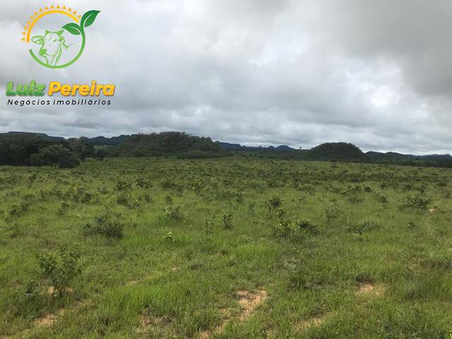 #1648 - Fazenda para Venda em Recursolândia - TO - 2