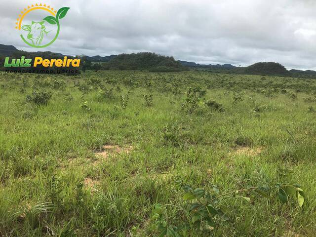 #1648 - Fazenda para Venda em Recursolândia - TO - 3