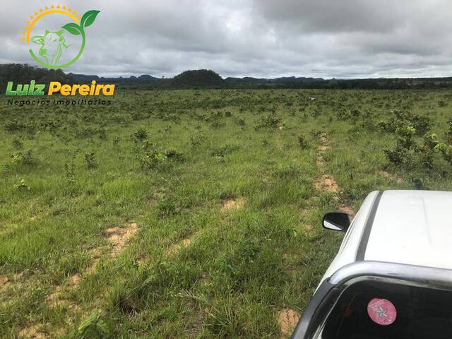 Fazenda para Venda em Recursolândia - 4